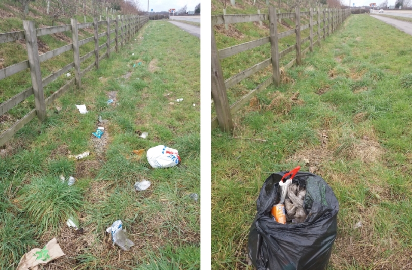 litter_before_and_after